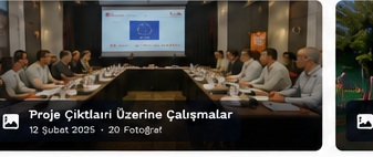 Proje Çıktıları Üzerine Çalışmalar